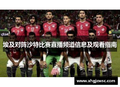 埃及对阵沙特比赛直播频道信息及观看指南